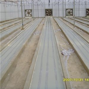 昆明大型花場自控溫電熱帶育苗項(xiàng)目